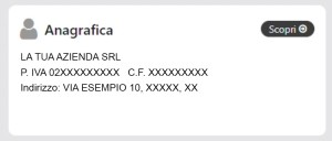Dashboard anagrafica acquirente