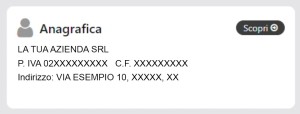 Grafica anagrafica concessionario