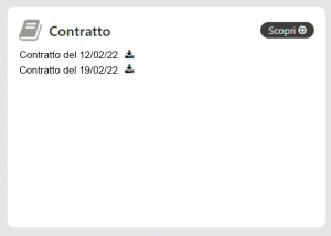Grafica del contratto del concessionario