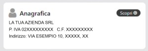 Anagrafica con i dati dell'azienda esercente